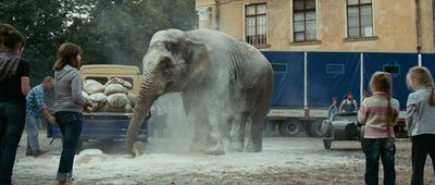 Кадр из фильма «Слон».